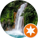 Dave profile picture